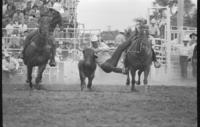 Terry Lee Thompson Steer wrestling