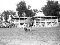 [Unidentified Cowboy on his knees in the dirt as bronc rears over him in front of chutes]