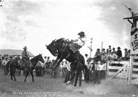 Micky Hicks on "Harmstrom" Sheridan, Wyo. Rodeo