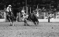 Jon Burdine Steer wrestling