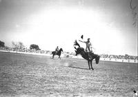 Louis Brooks on "Sketz" Sidney Iowa Rodeo