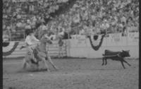 Todd Stokes Calf roping