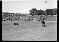 Bub Gatzman Steer Roping