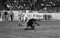 Buddy Geter Calf roping