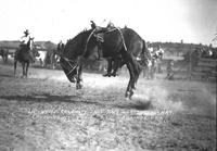 Up Went "Calamity Jane" Down went A. Kaufman, Billings Fair