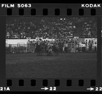 Joe Dorenkamp Steer wrestling