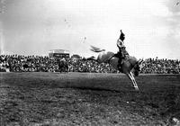 [Unidentified Cowboy riding bronc]