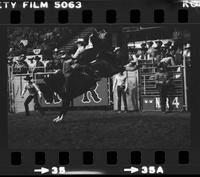 Tom Miller on Brown Jug