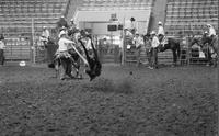 Dave Brock Calf roping