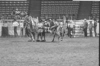 Terry McCutcheon Steer wrestling