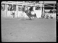 Shirley Hoppe off Miss Klamath