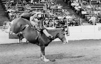 Jimmy Bartholomew on Crazy Snake