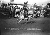 Donald Biron Eight Year Old Trick Rider Aledo Fair & Rodeo