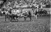 Dean Spangnoletti Steer wrestling