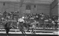 Richard Dean Simpson on Hanna Hanover
