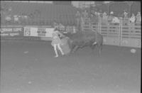 Rodeo clowns, Viers, Burnham, Burney, & Anderson, Bull fighting