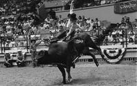 Mike Lenning on Dirty Danger