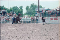 Billy Galino Calf roping