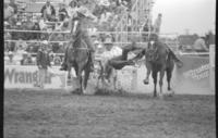 Paul Hughes Steer wrestling