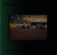 Larry Ferguson Steer wrestling