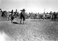 [Unidentified Cowboy extends left arm to absorb impact as he heads for the dirt]