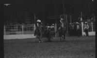 Unidentified Steer wrestler