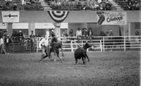 Steve Flinn Calf roping