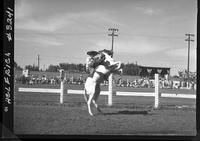 Slim Pickens on Judy  (Posed)