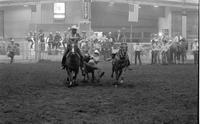 Wayde Longcrier Steer wrestling