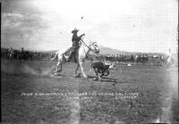 John Kirkpatrick (73 Year Old) Roping Calf Cody Stampede