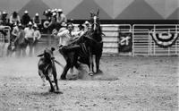 Larry Bailey Calf roping