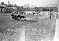 Norman Persons Bulldogging Time 6 4/5 sec. Memphis Fair & Rodeo