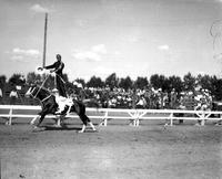 [Unidentified Cowboy doing Slick Saddle Stand with one hand on reins, other holding hat out front]