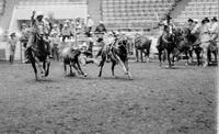 Carlis Bartholomew Steer wrestling