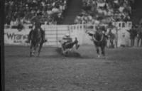 Unidentified Steer wrestler