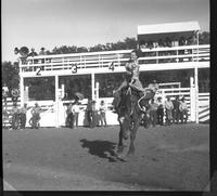 Helen Kirkendall on June Bug (sky piece)