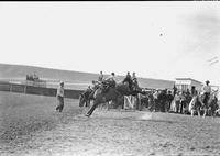 [Unidentified Cowboy out of saddle but hanging on to maintain his ride atop a bucking bronc]