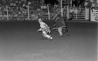 Rodeo clown Miles Hare Bull fighting