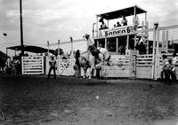 [Unidentified Cowboy having just come out of #6 chute of a seven-chute structure on bronc]