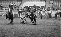 Leon Adams Steer wrestling