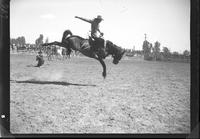 Buck Scott on Brown Jug  (3rd Fin)