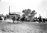 Charlie Colbert Bulldogging Dodge City Rodeo