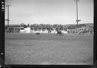 Dave Campbell Calf Roping