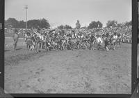 Indian Kids War Dance