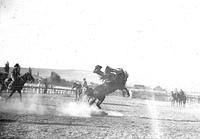 [Unidentified cowboy riding saddle bronc "Firefly"]