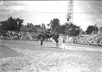 Orvil Stanton on "Hot Shot" Ark-Okla Rodeo