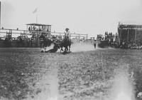 Buck Lucas Bulldogging Burwell Rodeo