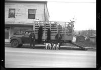 Jack West and Bears (Pickup, Rodeo Man)