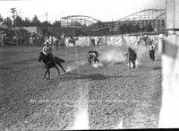 Doc Blackstone Bulldogging Memphis Fair & Rodeo