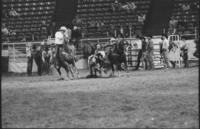 Jerry Small Steer wrestling